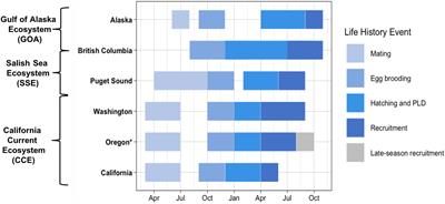 Big Fishery, Big Data, and Little Crabs: Using Genomic Methods to Examine the Seasonal Recruitment Patterns of Early Life Stage Dungeness Crab (Cancer magister) in the California Current Ecosystem
